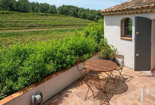 vineyards for sale France provence cote dazur   - 17